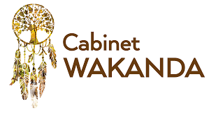 Cabinet wakanda